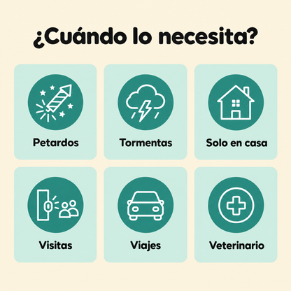 ¿Cuándo lo necesita?
