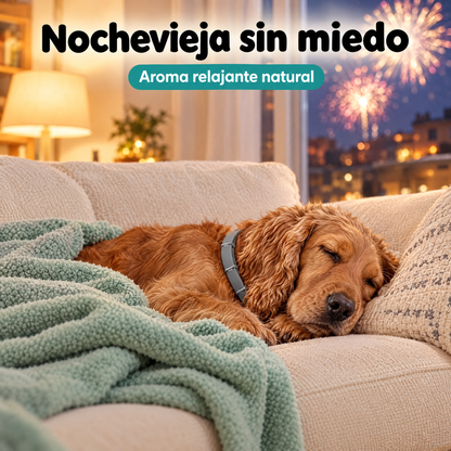 Nochevieja sin miedo