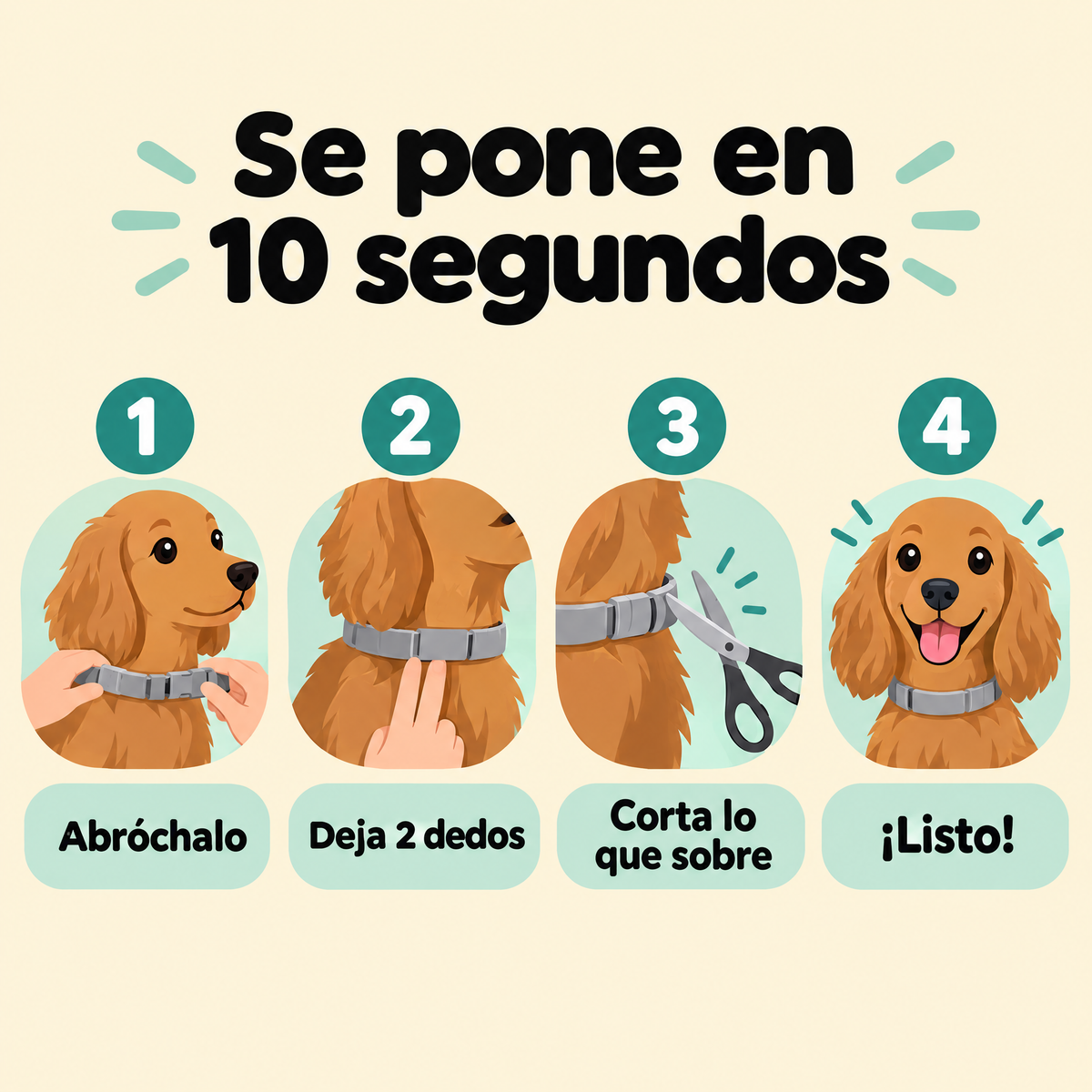 Se pone en 10 segundos