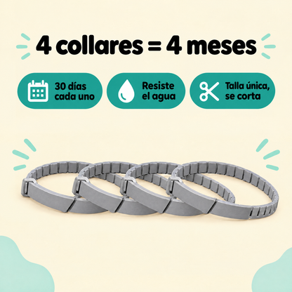 4 collares = 4 meses